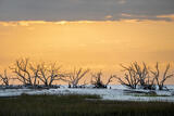 Dawn at Boneyard Beach