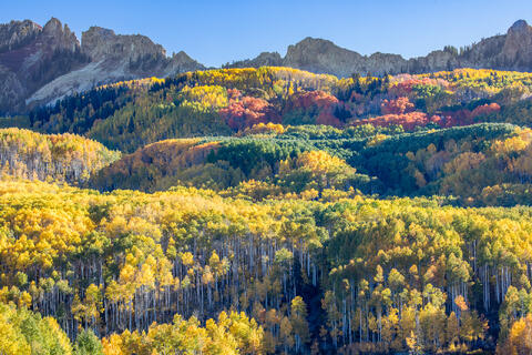 Kebler Pass