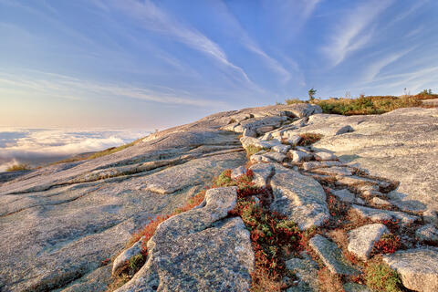 View at sunrise from the summit of Cadillac Mountain showing the krummholtz landscape of stunted trees, and low-growing plants on this granite peak in Maine