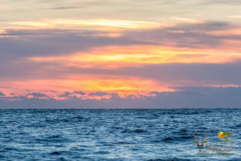 Dawn on the Atlantic Ocean