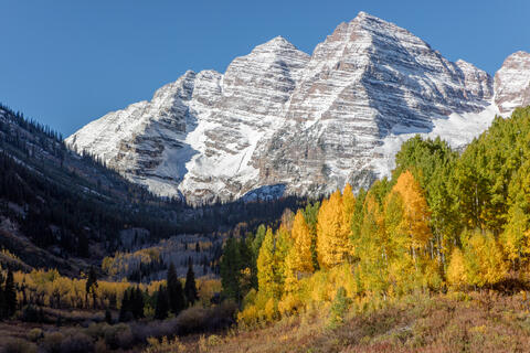 America, Aspen, Autumn, CO, Color, Colorado, Colors, Cones, Conifer, Cool, Elevation, Fall, Fall Color, Fir, Flora, Foliage...