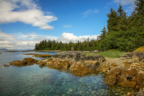 The temperate rainforest comes right to the waters edge in this typical rocky beach in the prince Williams sound in Alaska, USA. 