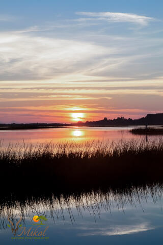 Dawn at a saltwater marsh in south Carolina, with spartina, or cordgrass, and clouds reflected in the still water. 