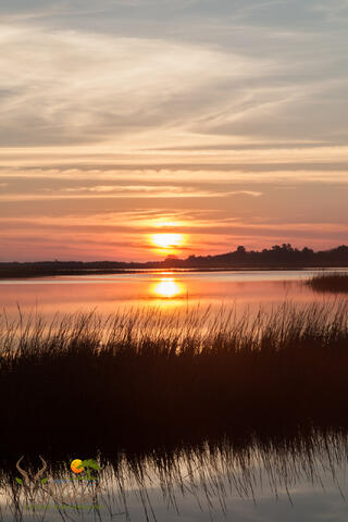 Dawn at a saltwater marsh in south Carolina, with spartina, or cordgrass, and clouds reflected in the still water. 