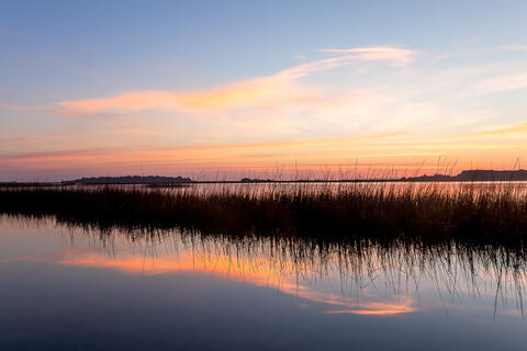 Dawn at a saltwater marsh in south Carolina, with spartina, or cordgrass, and clouds reflected in the still water. 