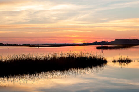 Dawn at a saltwater marsh in south Carolina, with spartina, or cordgrass, and clouds reflected in the still water. 