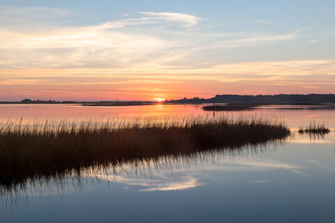 Dawn at a saltwater marsh in south Carolina, with spartina, or cordgrass, and clouds reflected in the still water. 

