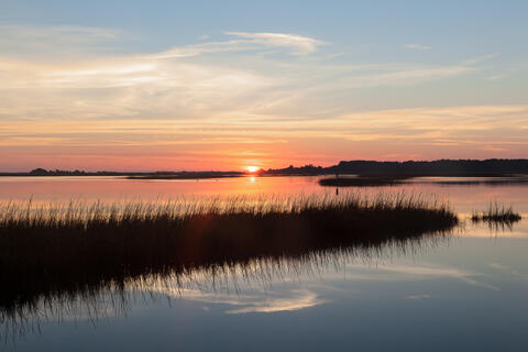 Dawn at a saltwater marsh in south Carolina, with spartina, or cordgrass, and clouds reflected in the still water. 