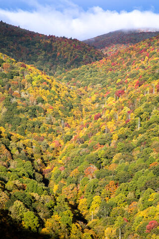Autumn Zig-Zag with Clouds and Sky