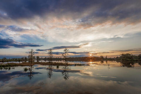 Sunburst, clouds and cypress trees reflect in the calm waters of a low country, blackwater, tidal ricefield in South Carolina, USA