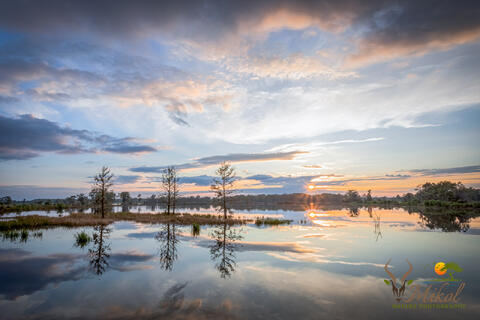 Clouds, cypress trees and sunburst are reflected in the calm waters of a dormant ricefield on the Waccamaw river in coastal South Carolina, USA