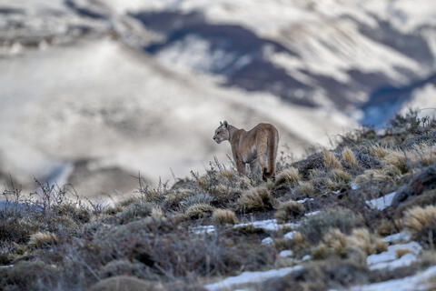 Scanning the Valleys