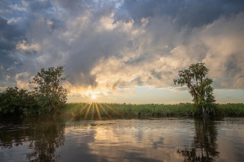 The sun breaks through close to sunset along a black water river  after a storm passes, with cypress trees reflected in the placid waters. 