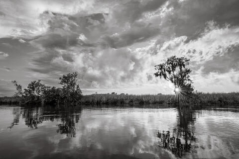 The sun breaks through close to sunset along a black water river  after a storm passes, with cypress trees reflected in the placid waters. 