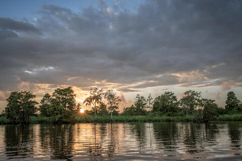 The sun breaks through close to sunset along a black water river  after a storm passes, with cypress trees reflected in the placid waters. 