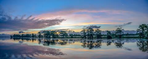 AM, Calm, Color, Colors, Cypress, Dawn, Flora, Foliage, Morning, Plants, River, South Carolina, Stream, Sunrise, USA, Waccamaw...