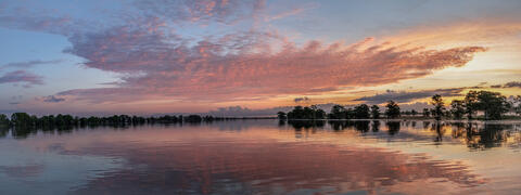 Sunrise with reflections of clouds and trees on a calm blackwater river in south Carolina use