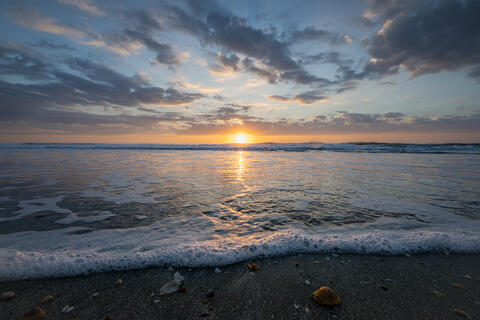 dawn along the atlantic coast of south carolina