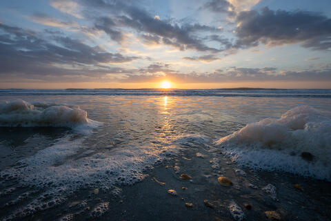 Sea foam is seen at sunrise along an atlantic beach in the SC, USA