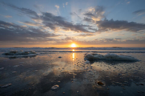 Sea Foam and clouds are seen at sunrise along an atlantic beach in SC, USA