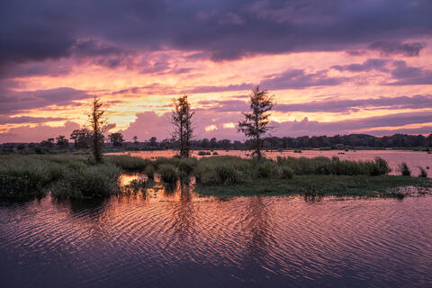 The sun sets over an old rice-field along the Waccamaw river on South Carolina showing pastel colors in the sky and water. 