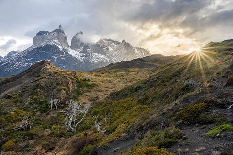 A hillside in Torres del Paine National park shows recovery after a devastating fire as the pioneer plants move in with los cuernos in the background. 