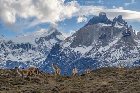 America, July, Patagonia, South America, Winter, chile
