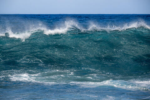 A wave crests just before breaking onto the shore in Madeira Portugal showcasing the clear green water of the Atlantic ocean 