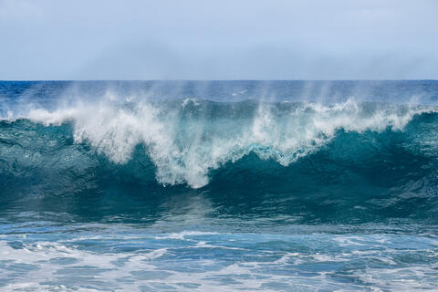A wave crests just before breaking onto the shore in Madeira Portugal showcasing the clear green water of the Atlantic ocean 
