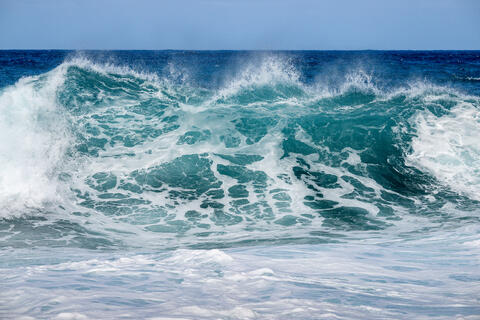 A wave crests just before breaking onto the shore in Madeira Portugal showcasing the clear green water of the Atlantic ocean 