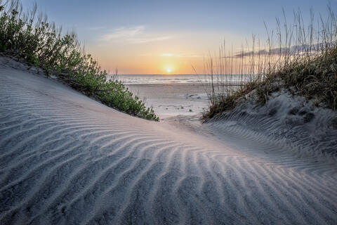 The sun rises as viewed from the rippled dunes on one of north carolina's barrier island of cape hatteras national seashore. 