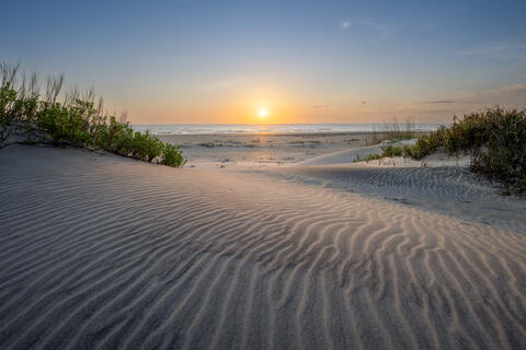The sun rises as viewed from the rippled dunes on one of north carolina's barrier island of cape hatteras national seashore. 