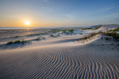 The sun rises as viewed from the rippled dunes on one of north carolina's barrier island of cape hatteras national seashore. 