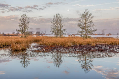 Landscapes