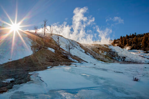 Steam erupts over the mammoth hot springs limestone terraces in Yellowstone national park in the winter with a visible sunstar. 