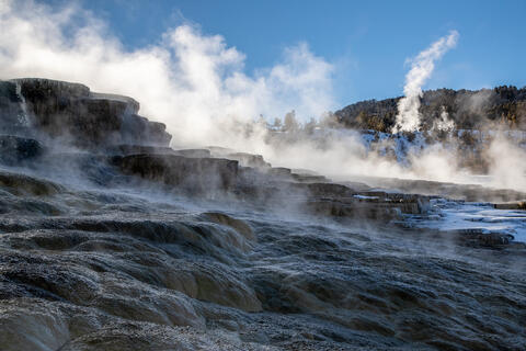 Steam erupts over the mammoth hot springs terraces in Yellowstone national park in the winter.