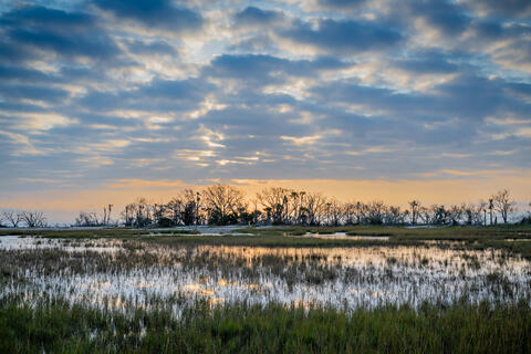 At dawn, the sun rises over the salt marsh and the hardwood hammock in coastal sc in Botany Bay preserve