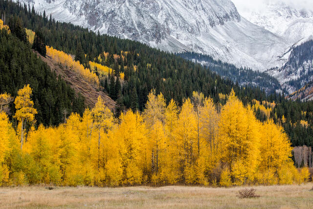 Mountains and Trees in Autumn print