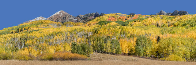Kebler Pass in Autumn print