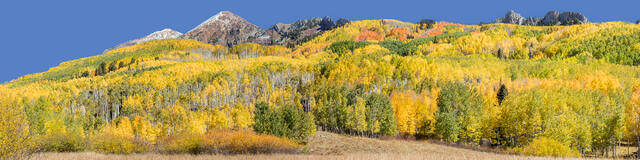 Kebler Pass print