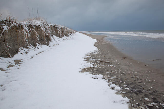Snowy Carolina Beach print