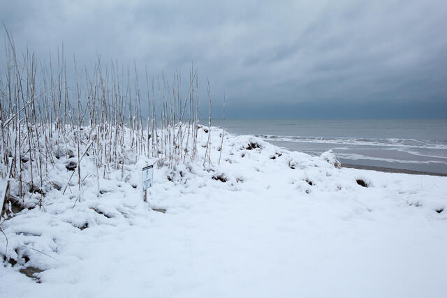 Snowy Atlantic Beach print
