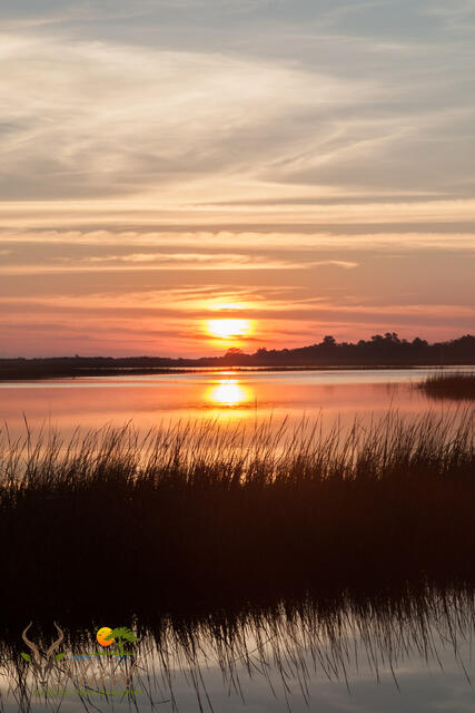 Sunrise at the Salt Marsh print