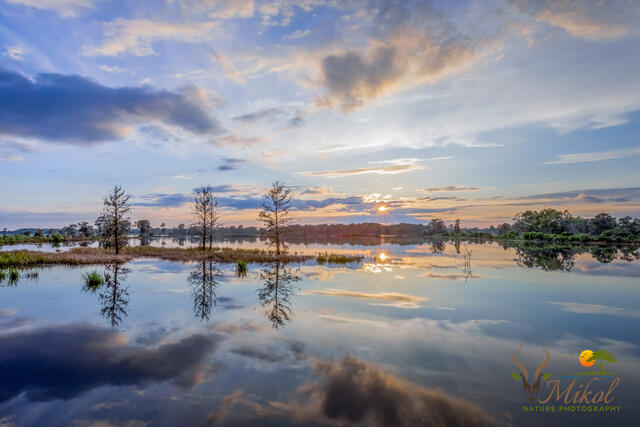 Sunset in an Old Ricefield print