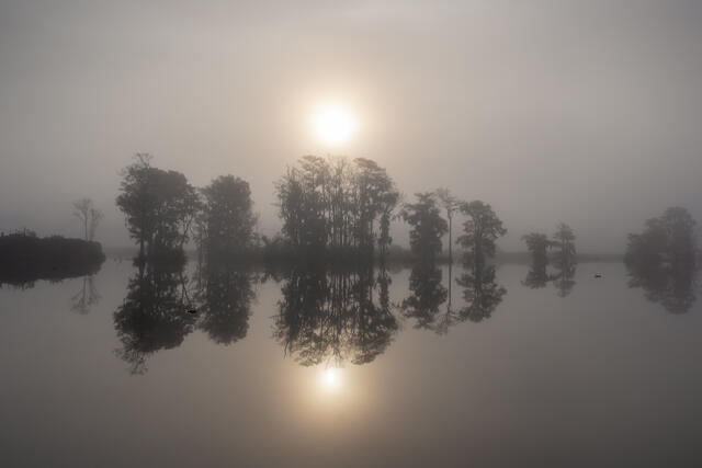 Foggy Stillness print
