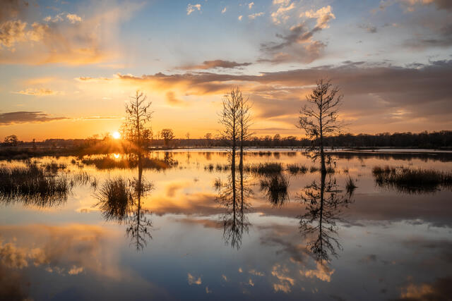 Waccamaw River Sunset print