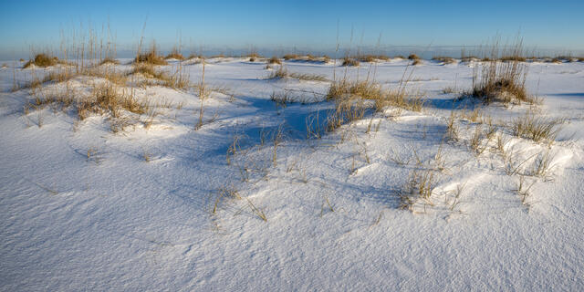 Snow-covered Dunes and Sea Oats print