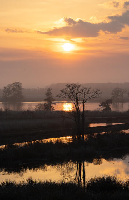 Foggy Winter Sunset print