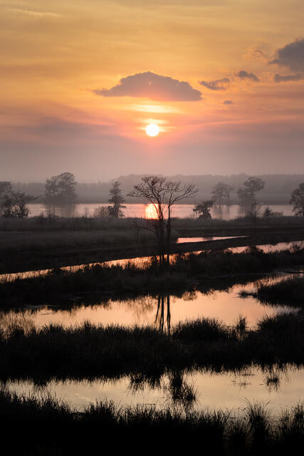 Winter Rice-fields Sunset print