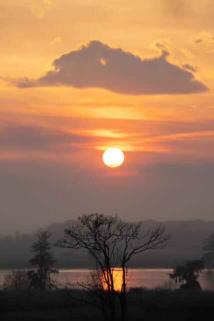 Cloud, Sun, Trees, River print